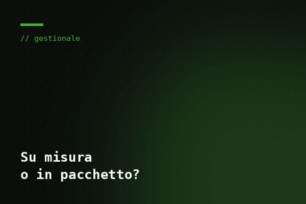Blog: Gestionale su misura o in pacchetto?
